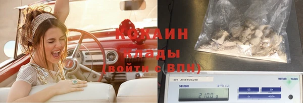 2c-b Ельня