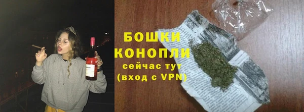 2c-b Ельня