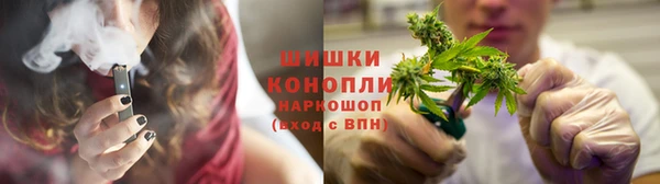 гидропоника Елабуга