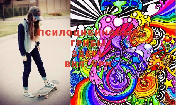 гидропоника Елабуга