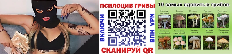Купить закладки Мышкин Псилоцибиновые грибы Cubensis